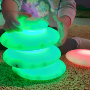 Amanecer en el bosque 29 de mayo