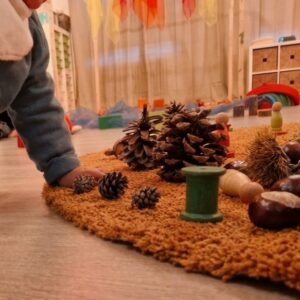Descubriendo el bosque otoñal 6 de noviembre